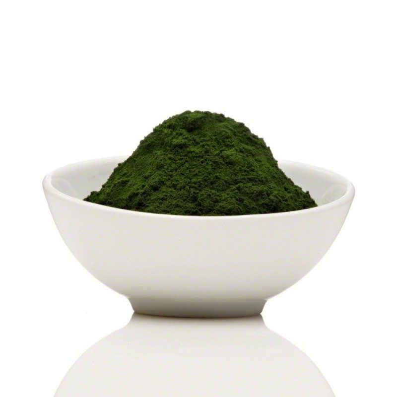 Chlorella Vulgaris Extract Supplier - 10:1 Protein 50% Supplement