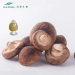 Shiitake Extract Powder Manufacturer - Lentinus Edodes Polysaccharides
