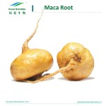 Maca Extract Supplier - Herbal Organic Wholesale Powder