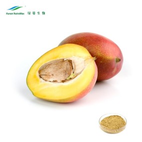 African Mango Extract Supplier - Seed Powder Weight Loss
