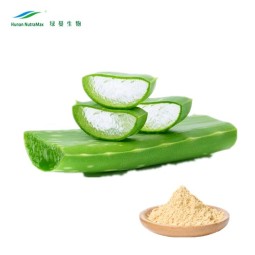 Aloe Vera Gel Extract Manufacturer - Aqueous Juice Gel Free Sample