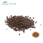 Fructus Corni Extract Factory - Evodiae Corni P.E. Powder