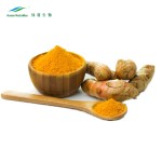 Turmeric Extract Manufacturer - 10%-95% Curcumin Carcuma Longa