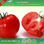 Tomato Extract Supplier - 10%-20% Lycopene Concentrate Powder
