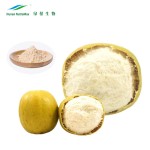 Monk Fruit Extract Powder Factory - Mogrosides 80% China Manufacturer