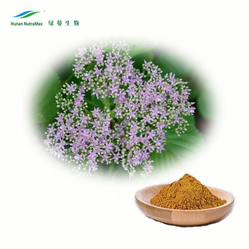 Valerian Root Extract Factory - 0.8% Valeric Acid Healthcare