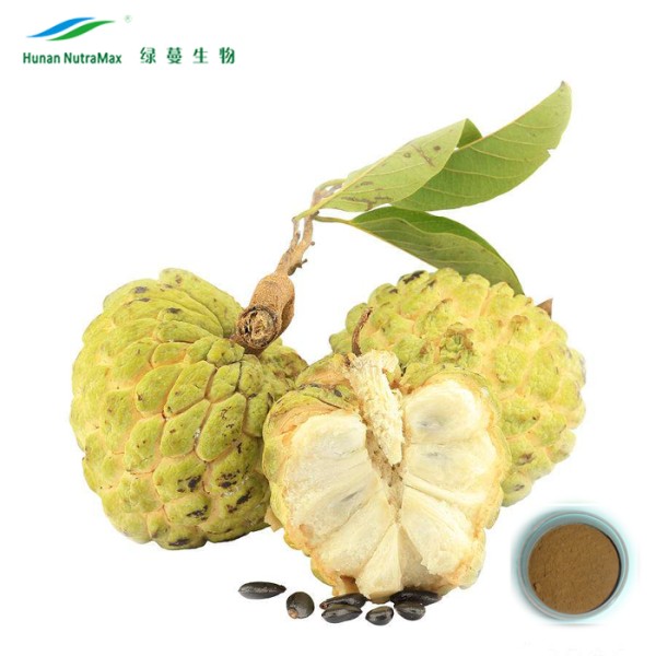 Graviola Extract Factory - Leaf Fruit Extract Powder