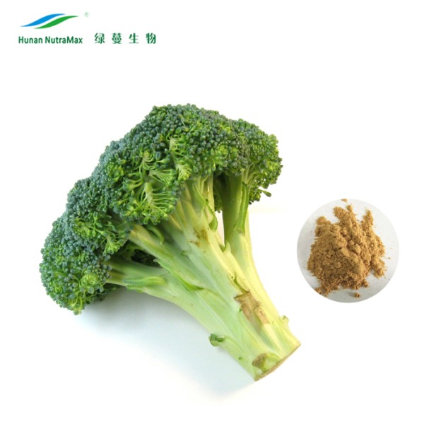 Broccoli Seed Extract Manufacturer - 1% Sulforaphane Powder