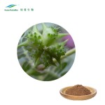 Tribulus Extract Manufacturer - 90% Protodioscin Saponins Powder