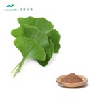 Ginkgo Biloba Extract Factory - 24/6 Standardized Extract Powder