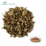 Tribulus Powder Supplier - 90% Saponins 40% Protodioscin Bulk