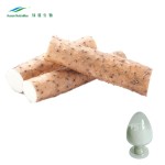 Purple Yam Extract Manufacturer - Powder P.E. Natural Extract