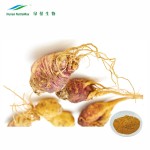Maca Extract Supplier - Herbal Organic Wholesale Powder