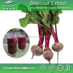 Beetroot Extract Manufacturer - Betanin E50 4% Natural Colorant