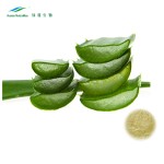 Aloe Vera Powder Factory - Bulk Packaging 10:1-200:1 Freeze Dried