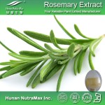 Rosemary Leaf Extract Supplier - Plant Extract Oil Natural