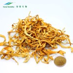 Cordyceps Sinensis Extract Supplier - Militaris High Quality