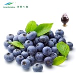 Blueberry Fruit Extract Factory - Powder Good Solubility Natural