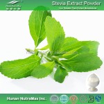 Stevia Leaf Extract Supplier - 60%-98% Rebaudioside A Powder