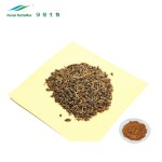 Fructus Corni Extract Factory - Evodiae Corni P.E. Powder