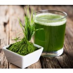 Chlorella Vulgaris Extract Supplier - 10:1 Protein 50% Supplement
