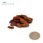 Red Ginseng Extract Supplier - Ginsenosides Powder Natural