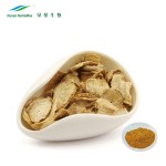 Maca Extract Supplier - Herbal Organic Wholesale Powder