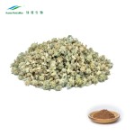 Tribulus Extract Manufacturer - 90% Protodioscin Saponins Powder