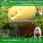 Ganoderma Lucidum Extract Manufacturer - 1kg Reishi Mushroom Powder