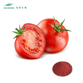 Tomato Extract Powder Manufacturer - 5%-90% Lycopene Direct Supply