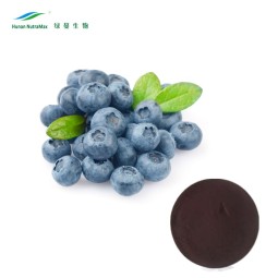 Blueberry Extract Manufacturer - 25% Anthocyanins Good Solubility