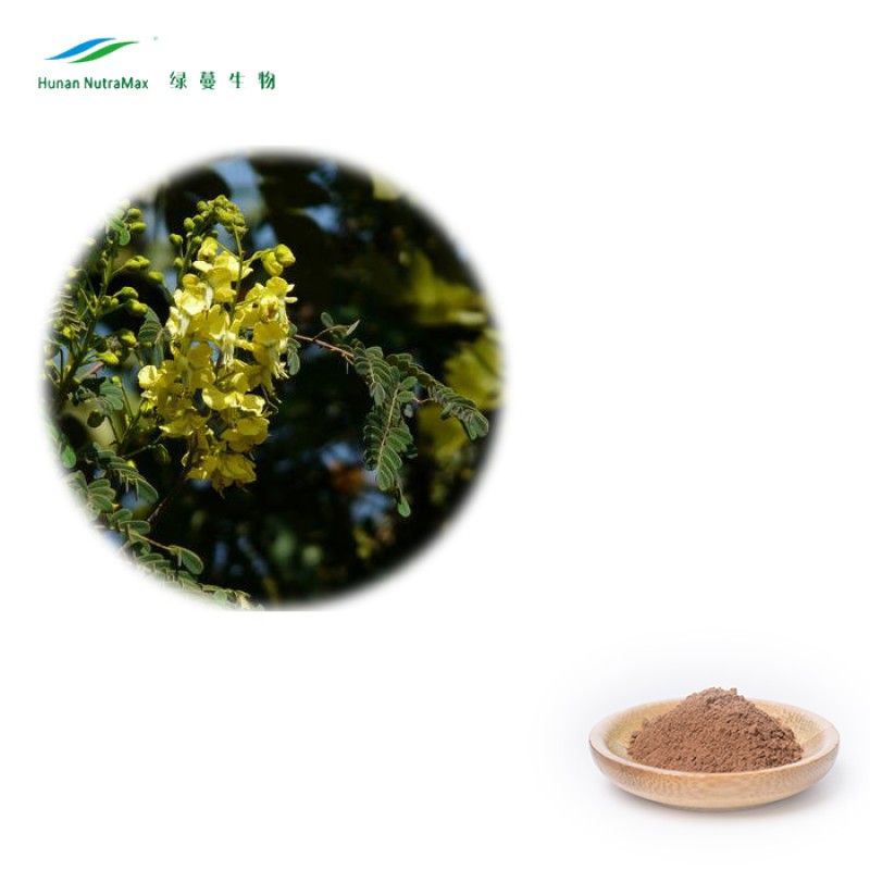Cat's Claw Extract Supplier - 4:1-20:1 TLC NutraMax