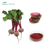 Beet Root Powder Supplier - Super Food Pure Red Powder
