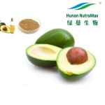 Avocado Powder Factory - Spray Dried Fruit Instant Powder