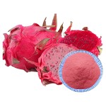 Dragon Fruit Powder Factory - 100% Water Soluble Red Pitaya