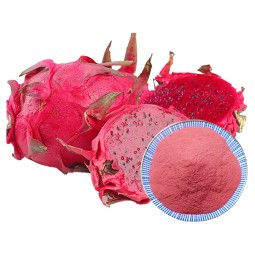 Dragon Fruit Powder Factory - 100% Water Soluble Red Pitaya