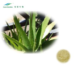 Aloe Vera Gel Powder Supplier - 100:1 Freeze Dried Extract