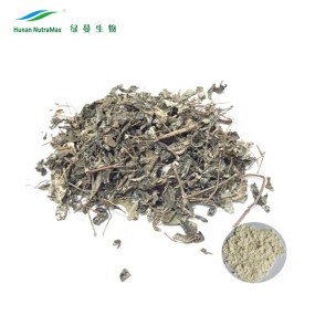 Vine Tea Extract Manufacturer - 98% Myricetin Powder CAS 529-44-2