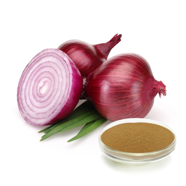 Dried Onion Extract Manufacturer - 10:1 Bulk Fruit Extract Powder