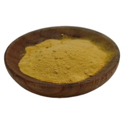 Tongkat Ali Powder Manufacturer - 100:1-200:1 Root Extract Men