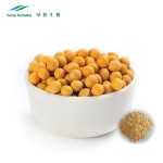 Soybean Extract Factory - 40% Isoflavone Women Supplements