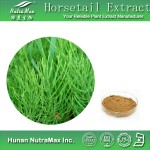 Horsetail Grass Powder Manufacturer - Pure Silica Equisetum Powder