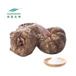 Konjac Glucomannan Powder Factory - Amorphophallus Root Powder