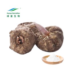 Konjac Glucomannan Powder Factory - Amorphophallus Root Powder