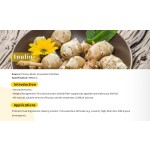 Inulin Fiber Powder Manufacturer - 90% Chicory Extract Bulk