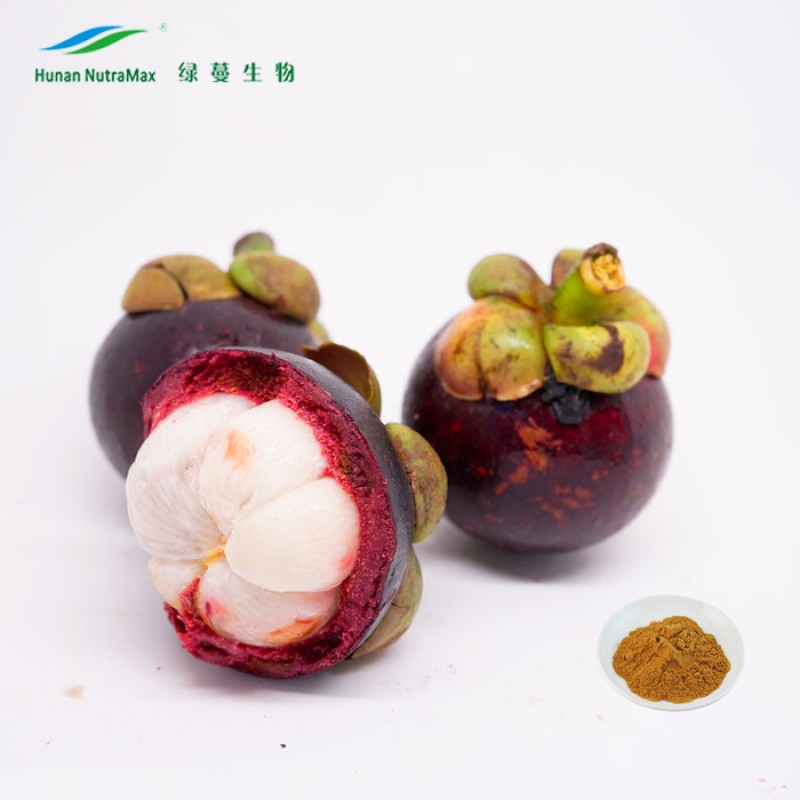 Mangosteen Extract Supplier - 10%-90% Alpha-mangostin Peel Powder