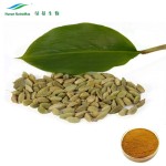 Cardamon Powder Supplier - Green Plant Extract Bulk