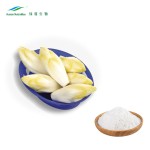 Inulin Fiber Powder Manufacturer - 90% Chicory Extract Bulk