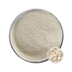 White Kidney Bean Extract Supplier - 10:1 Weight Loss OEM