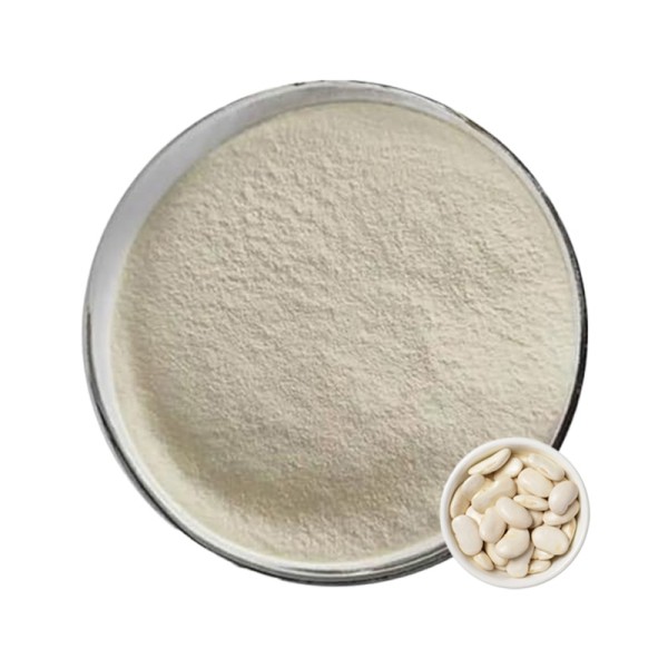 White Kidney Bean Extract Supplier - 10:1 Weight Loss OEM